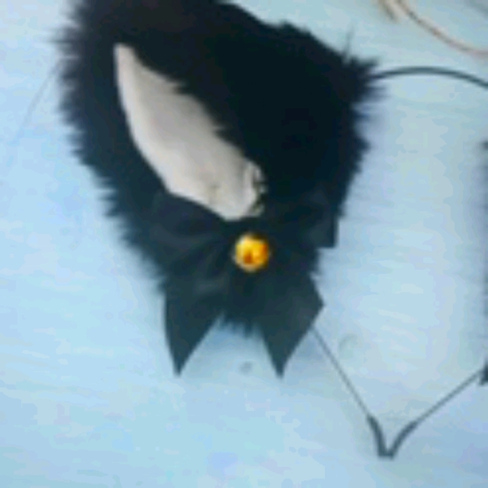 Cat ears